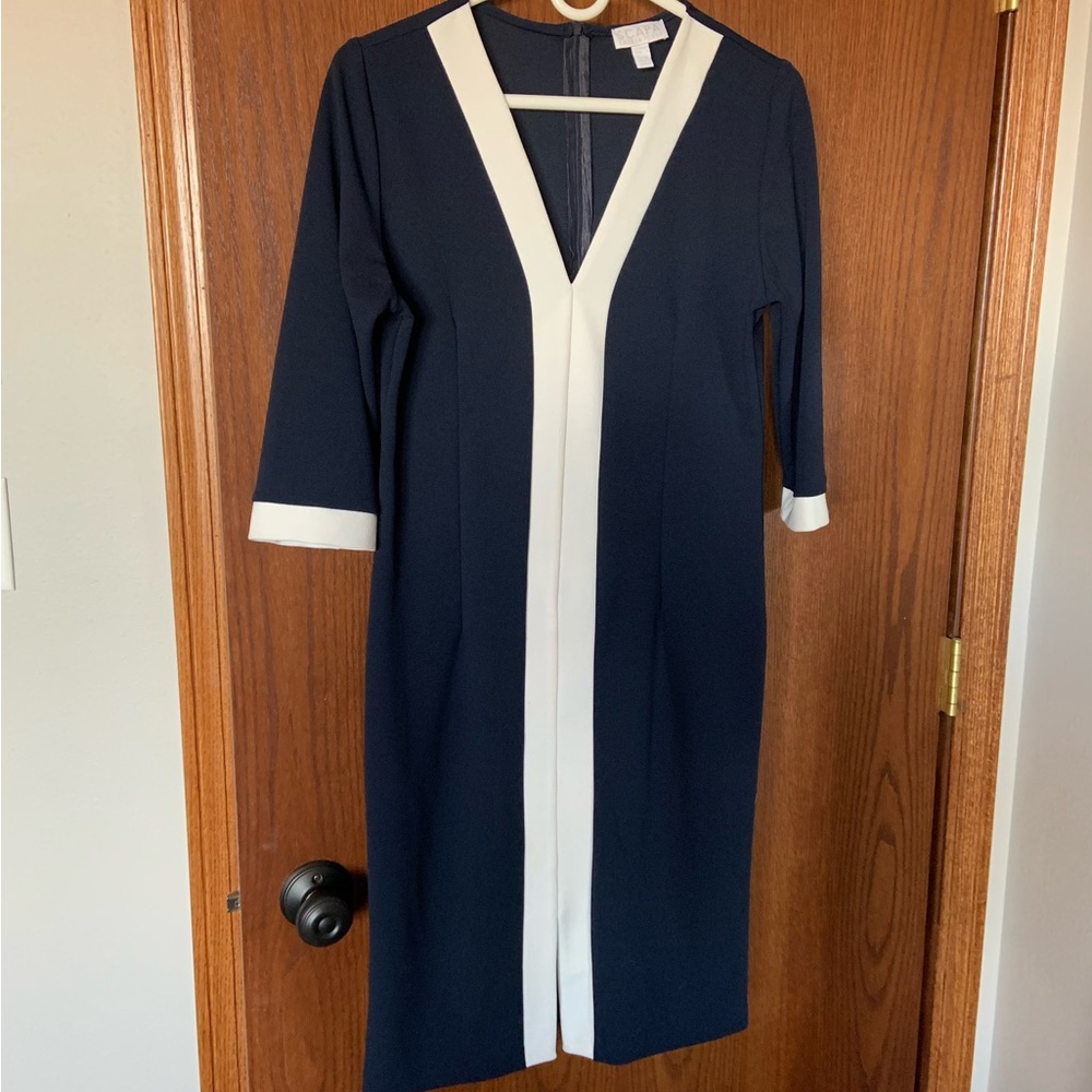 Navy and White Dress